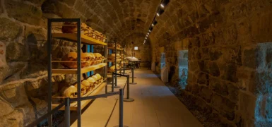 Muğla Müzeler Rehberi: Bodrum Kalesi’nin Sırları (Tüm Sualtı Arkeoloji, UNESCO ve Kent Müzeleri Rehberi)