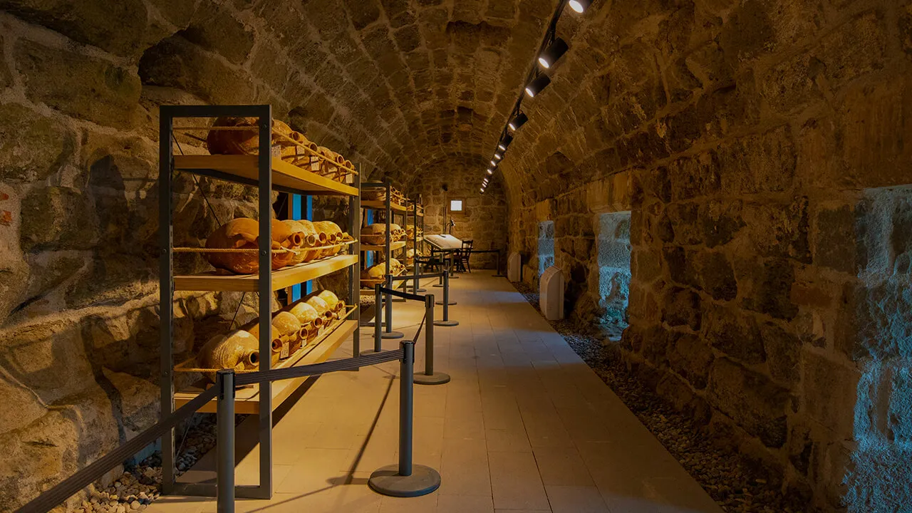 Muğla Müzeler Rehberi: Bodrum Kalesi’nin Sırları (Tüm Sualtı Arkeoloji, UNESCO ve Kent Müzeleri Rehberi)