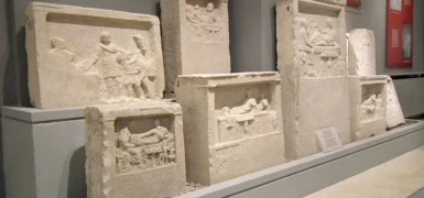 Tekirdağ Müzeler Rehberi: Edebiyat ve Sürgünün İzleri (Tüm Namık Kemal, Rakoczi, Arkeoloji ve Şarap Müzeleri Rehberi)