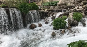 Tunceli Kışın Gezilecek Yerler: Ovacık’ta Kristal Kar ve Munzur’un Sesi Tunceli Kışın Gezilecek Yerler: Ovacık’ta Kristal Kar ve Munzur’un Sesi
