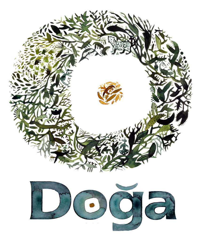 Doğa Severler ve Kampçılar İçin Vahşi Rota